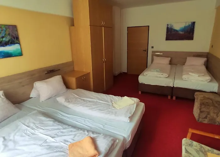 U Přehrady Hotel 2*